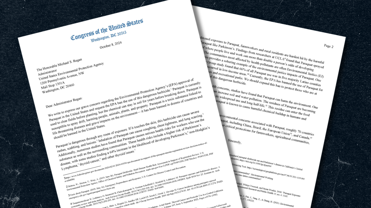 Screenshots of the letter